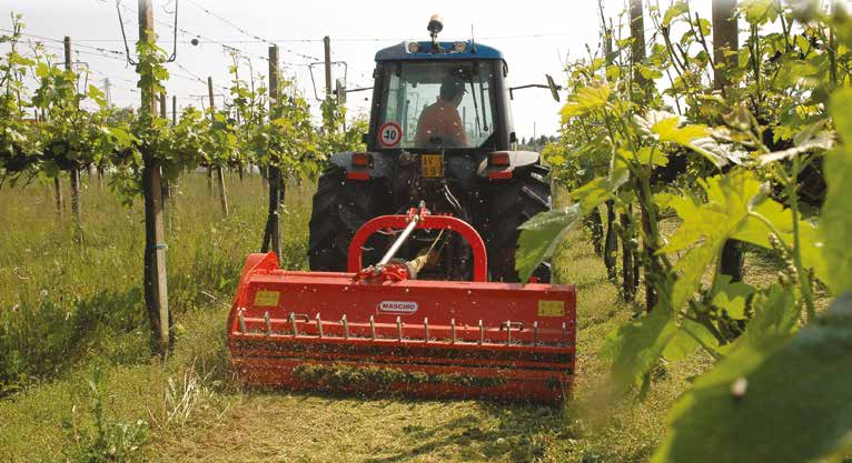 MULČOVAČE Mulčovače Maschio Gaspardo jsou stroje určené k mulčování trvalých travních porostů, rostlinných zbytků na orné půdě (kukuřice, slunečnice, řepka) i náletových dřevin.