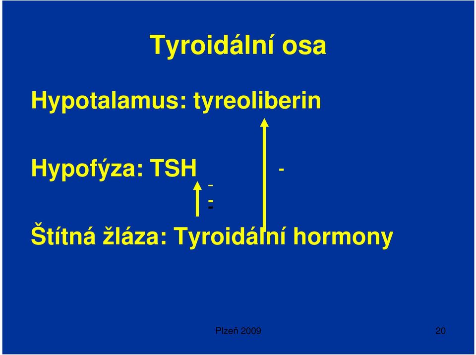 Hypofýza: TSH - - - Štítná