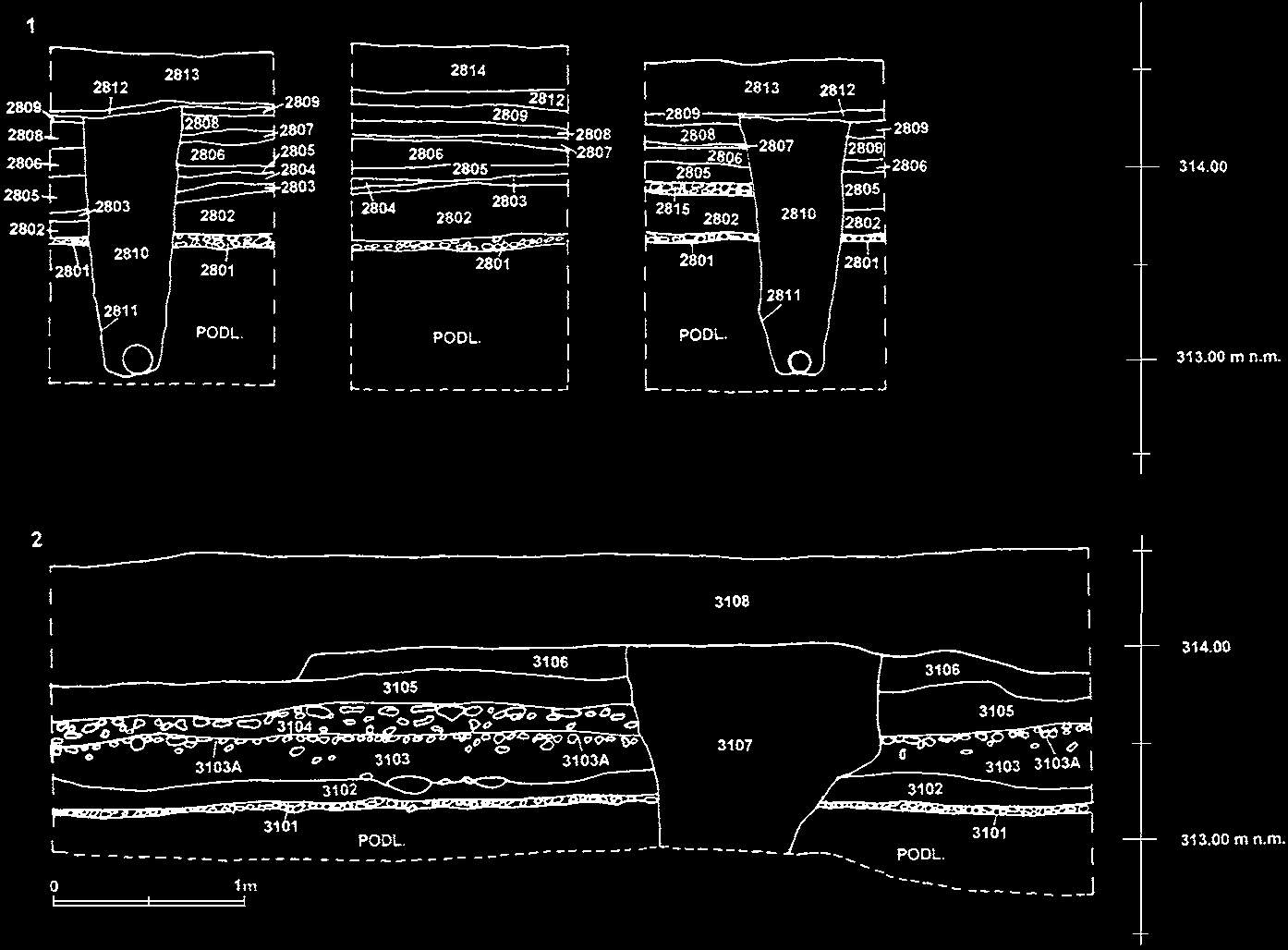 Radek Široký Ladislav Kaiser Petr Kočár Kateřina Nováková Sedláčkova ulice v Plzni ve světle archeologického výzkumu mocnějšími, v obou sondách odlišnými jílovitými vrstvami (2903, 3005).