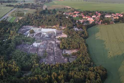 Dendroekologická rekonstrukce pozdně glaciálního (až raně