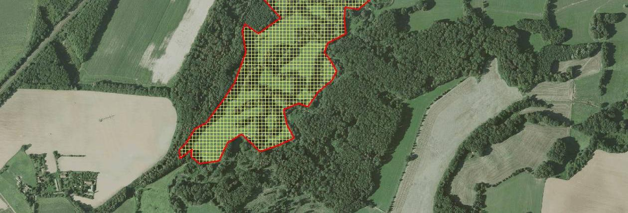 Mapa 3: Orientační zákres studované plochy v okolí Suchdola nad Odrou (červená linie).