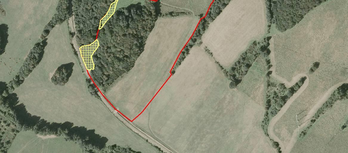 Mapa 4: Orientační zákres studované plochy v okolí Suchdola nad Odrou (červená linie).