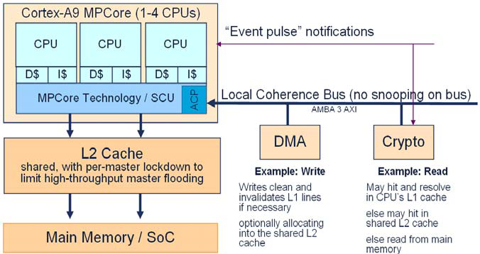 Accelerator coherent port (obrázek 3) poskytuje přímé propojení non-cached zařízení k L1 cache procesorů, udržuje tuto paměť konzistentní.