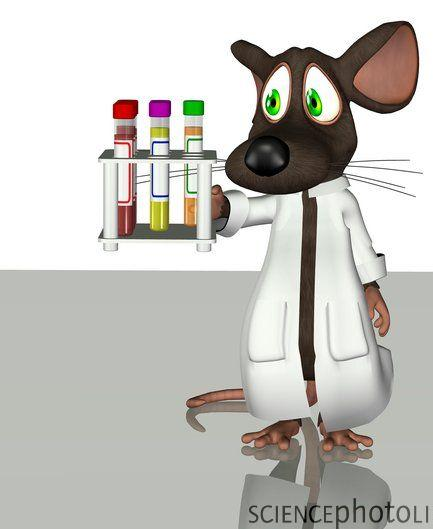 Shrnutí Myš je nejpoužívanější model pro biomedicínský výzkum Chov konvenční vs.