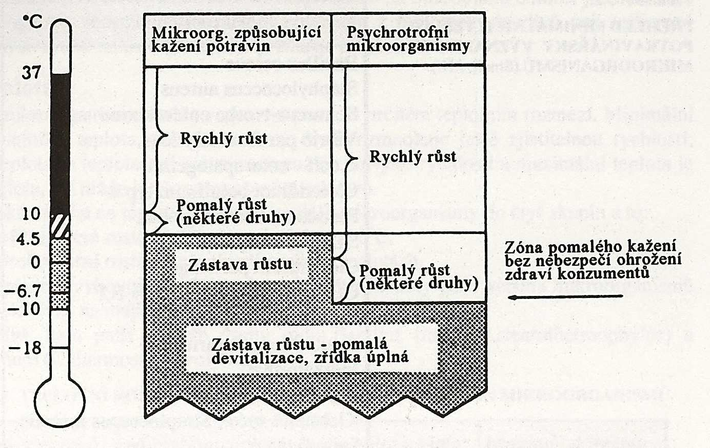 Obrázek 8: Vliv teploty na růst mikroorganismů způsobujících kažení masa Mrazírenskými teplotami se postupně voda mění v krystalky ledu.