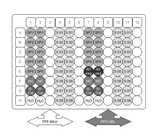 Obrázek 5. Navrhované nastavení desky pro jeden experiment se sadou ipsogen BCR- ABL1 Mbcr IS-MMR.