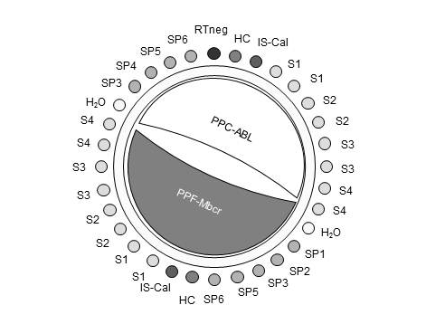 Obrázek 6. Navrhované nastavení rotoru pro každý experiment se sadou ipsogen BCR-ABL1 Mbcr IS-MMR.