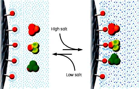 Hydrophobic interaction chromatography ( HIC ) Separace proteinů a peptidů na základě jejich relativní hydrofobicity.