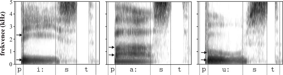 Obrázek 4 ukazuje spektrogram pro [iː], [aː] a [uː] vrcholy pomyslného vokalického trojúhelníku. První dva formanty jsou naznačeny šipkou.