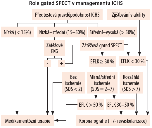 Obr. 17 Využití perfuzních i funkčních dat zjištěných pomocí gated SPECT při rozhodování o dalším postupu u pacientů se suspektní ICHS (data z 20ti segmentového modelu).