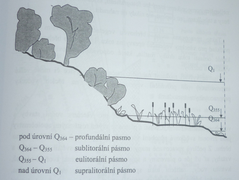 Obrázek č. 16 Pásmové členění břehové vegetace Převzato z: Šlezingr (2005) s. 71 5.