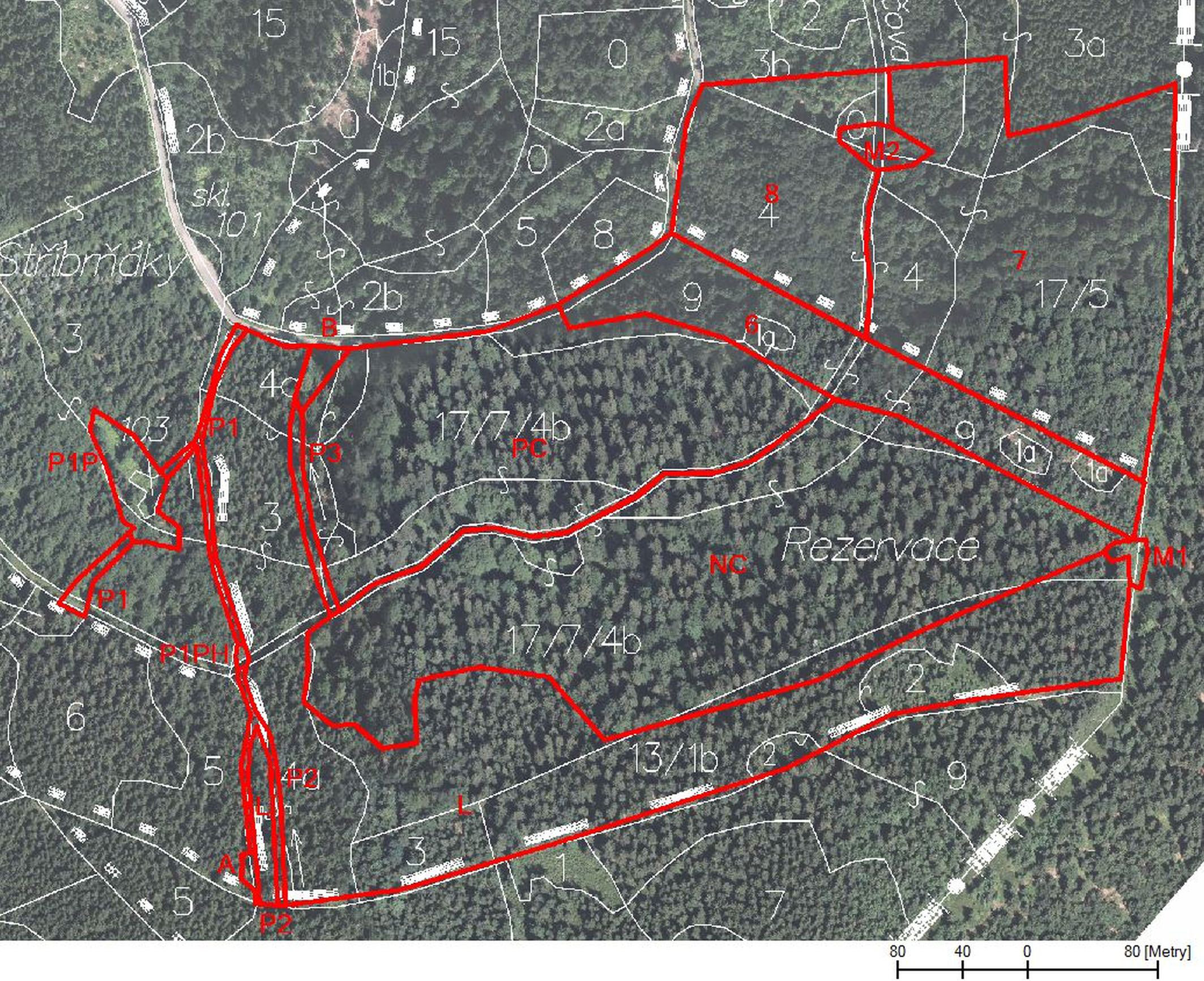 58 Acta Mus. Richnov., Sect. natur. 20 (3 4): 43 70, (2013) VEGETACE Zdroj: mapový podklad ČÚZK, lesní mapa obrysová LHC Colloredo Opočno. Obr. 2. Vymapované dílčí plochy aktuální vegetace v oblasti PR Pod Vrchmezím a okolí.