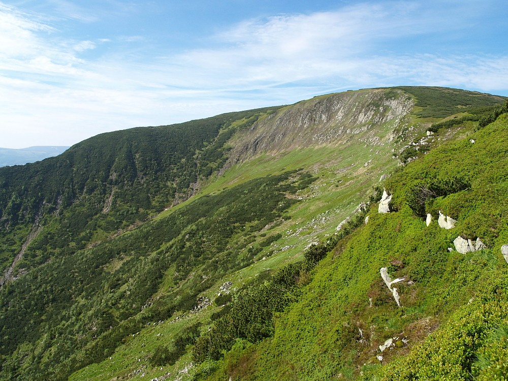 Pokud není uvedeno jinak, je autorem všech fotografií M. Hroneš. Další autoři: M. Dančák (Trichophorum alpinum), M. Duchoslav (Calamagrostion villosae, Eriophorum angustifolium), M.