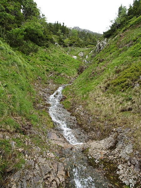 Geologie a pedologie Krkonoše převážně silikátové Hlavní hřeben tvořen převážně žulou (krkonošskojizerské plutony) Boční hřebeny jsou tvořeny krystalickými břidlicemi a ortorulami Jihozápadní část