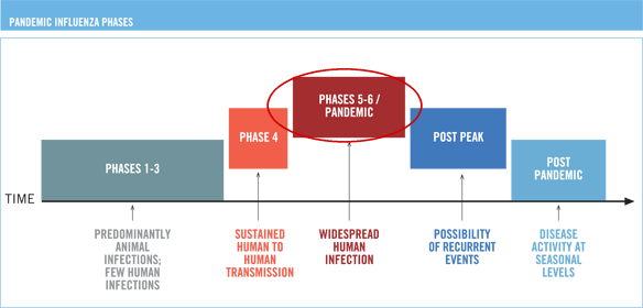 Chronologie V Fáze 5 29.4.2009 Interhumánní šíření je stále omezeno, ale jsou již nakaženy velké skupiny lidí, což svědčí pro rostoucí adaptaci viru na lidský organismus.