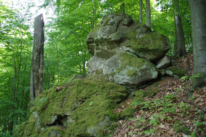 PLÁN PÉČE o přírodní památku Bludný (návrh na vyhlášení) na období 2014-2023 Objednatel: Zlínský kraj třída Tomáše Bati 21 761 90 Zlín IČO: 70891320 Zhotovitel: Českomoravské sdružení pro ochranu