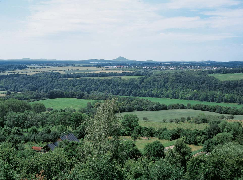 Okres Mladá Boleslav Pfiírodní památka Vrch Káãov Severozápadní svah vrchu Káãov (350,5 m n. m.) na jiïním okraji obce Sychrov nad Jizerou.