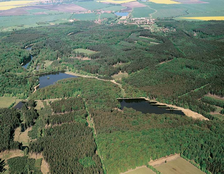 Stfiední âechy Pfiírodní park Jabkenicko Vyhlá en v roce 998 Okresním úfiadem v Mladé Boleslavi. Plocha parku ãiní 70 ha.