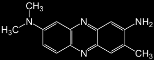 Cytotoxicita Zkouška na cytotoxicitu příjmem neutrální červeně Zkouška na cytotoxicitu MTT/XTT 1. den: nasazení buněk do 96-jamkových destiček (1x10 4 buněk/jamku) inkubace 24 hodin 2.