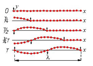 Za charakteristickou pro vlnění považujeme vzdálenost, kterou šířící se vlna urazí za dobu jedné periody (T). Tato vzdálenost se nazývá vlnová délka λ.