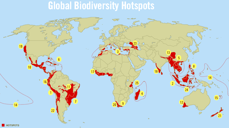 Horká místa biodiverzity Jako horká místa (biodiverzity hotspots) jsou označovány 3 oblasti Středomoří s vysokou koncentrací vzácných, ohrožených, často endemických 4 Madagaskar či i reliktních druhů.