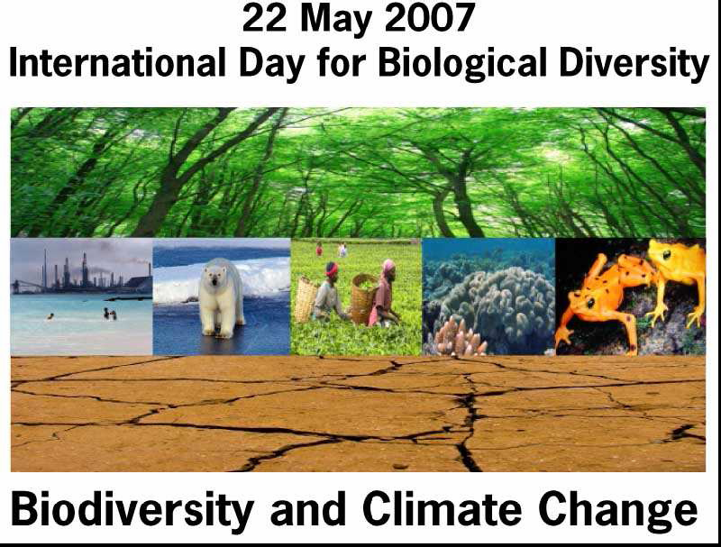 Klíčovým dokumentem v ochraně biologické rozmanitosti zůstává Úmluva o biologické rozmanitosti (Convention on Biological Diversity CBD ) byla podepsána na konferenci OSN o životním prostředí a