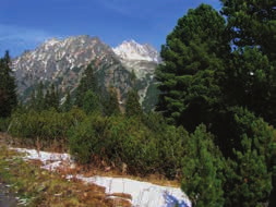 Ideálne ponuky na prežitie letného rodinného výletu v rôznych kútoch Slovenska: VLAK A VLÁČIK MINI, VLAK A TATRY PLUS MINI, VLAK A VRÁTNA MINI, VLAK A DETSKÁ ŽELEZNICA MINI, VLAK A AQUACITY MINI