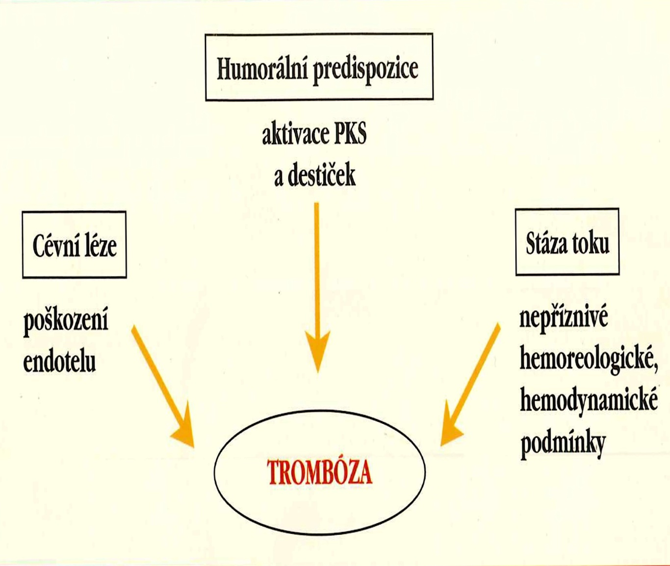 30 Kapitola 3. Rizikové faktory trombózy Obrázek 3.1: Virchowova triáda, převzato z ŠIMÁK, J. a VALENTA, J., Patofyziologie žilní tromboembolické nemoci; PKS - plazmatický koagulační systém. 3.1 Členění rizikových faktorů č.