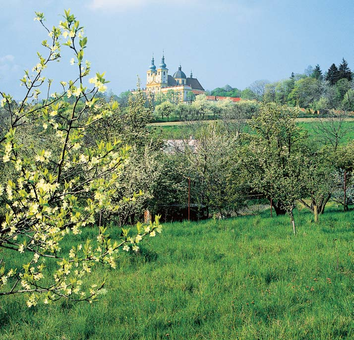 Okres Olomouc Se vznikem CHKO je nepfiímo spojen také jeden v znamn projekt realizovan pfieváïnû na jejím území podpora návratu kriticky ohroïeného bobra evropského (Castor fiber), kter byl na Moravû
