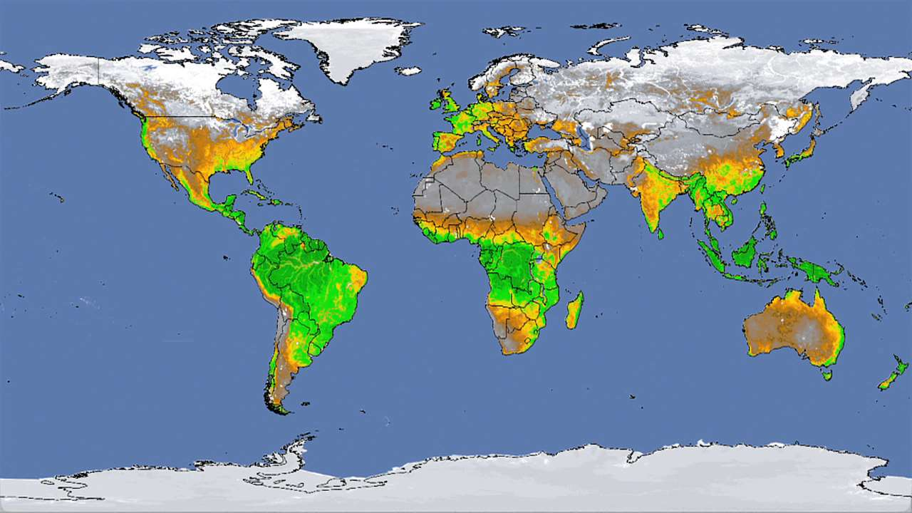 Roční NDVI 2004- NASA/Goddard Space Flight Center Scientific