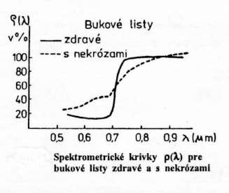 Žíhlavník & Scheer