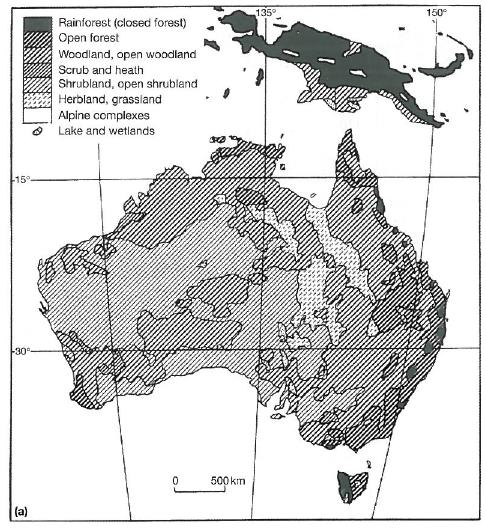 Regionální klimatický vývoj holocénu: Austrálie - nedostatek syntetických studií - dostupné studie odhadují poměrně malou holocenní dynamiku vegetace a výraznější vývoj už v pozdním glaciálu (Pickett