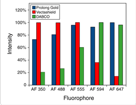 ProLong Gold antifade reagent www.invitrogen.com http://abrc.sinica.edu.