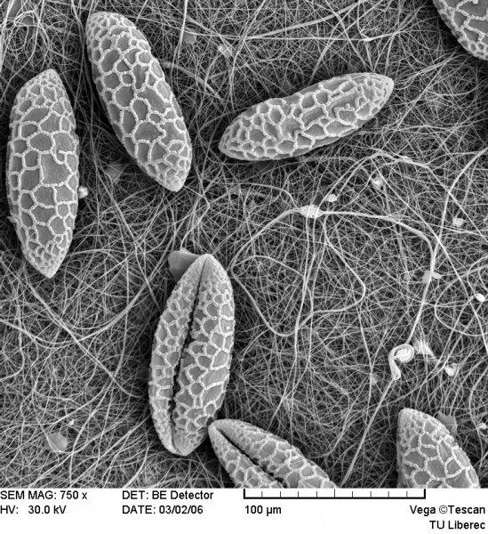 Electrospinning elektrostatické zvlákňování Vlastnosti nanovlákenných vrstev a nanovláken: Dosažení velkého specifického povrchu Vysoká pórozita připravených nanomateriálů Malá velikost