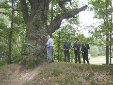 36 ZPRÁVA O STAVU LESA A LESNÍHO HOSPODÁŘSTVÍ ČESKÉ REPUBLIKY V ROCE 2009 3.11 Památné stromy v lesích Memorable Trees in Forests Stromy v krajině často doprovází drobné památky, např.