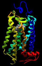 Receptory aktivující G proteiny