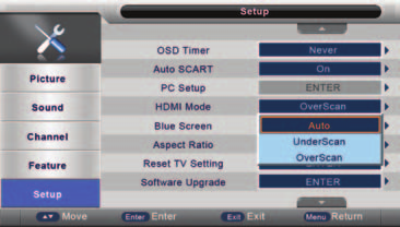 Nastavení menu HDMI Nastavení Stiskněte tlačítko SETUP pro zobrazení hlavního menu. Tlačítky / vyberte Setup (Nastavení) v hlavním menu, poté tlačítkem OK/ vstupte do menu. 1.