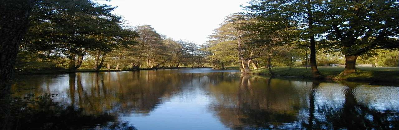 Přírodní park Orlice Děkuji za Vaši