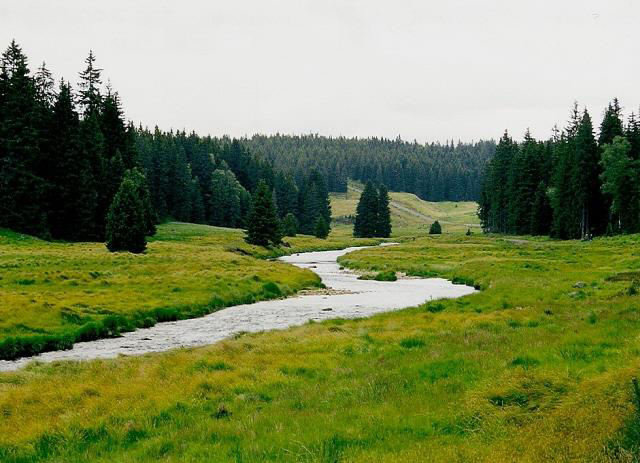 Tajga - zó a jehlič atý h lesů Tajga : Krátká vegetač í do a, prů ěr á teplota 3, srážkový úhr 2000mm.