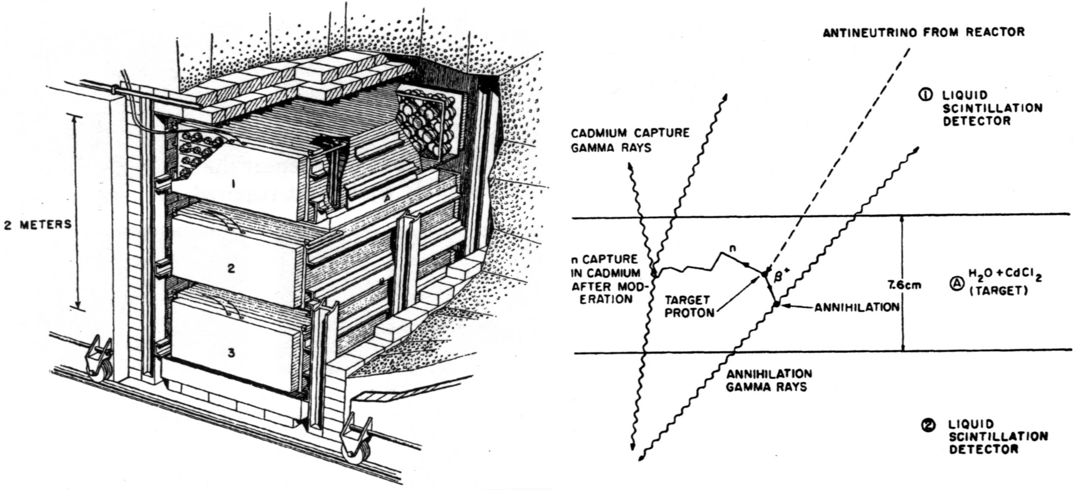 6.2 Objevy antineutrin 29 6.2 Objevy antineutrin 6.2.1 Elektronové antineutrino Elektronové antineutrino objevili v roce 1956 Frederick Reines a Clyde Cowan z Los Alamos National Laboratory na reaktorech v Hanfordu a Savannah River [10].