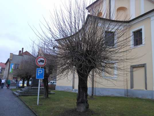 Ošetření stromů městské zeleně ořezem - Příloha č.