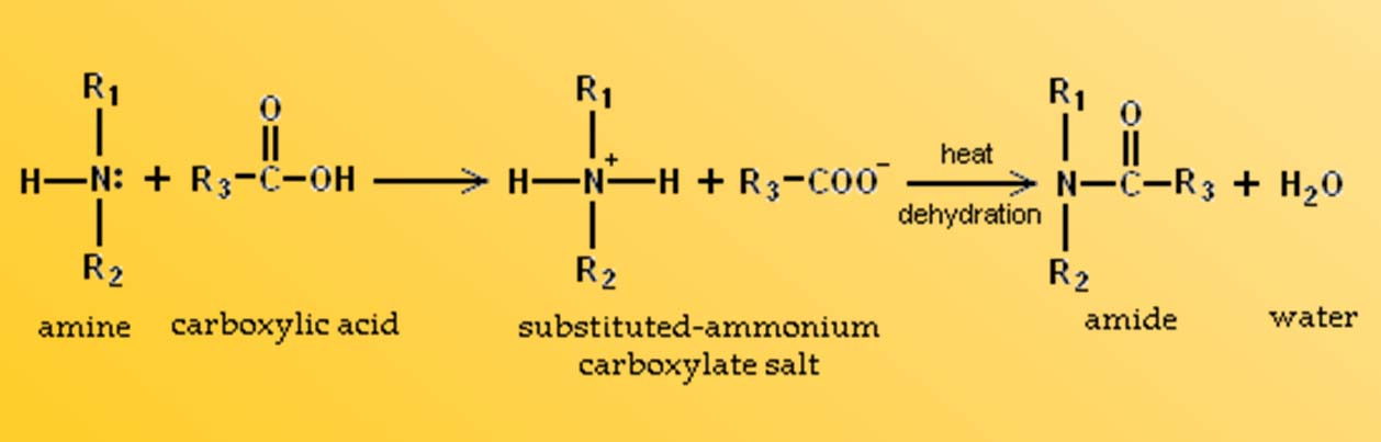 Amoniové soli neutralizací aminů kyselinami vznikají amoniové soli a voda (např.