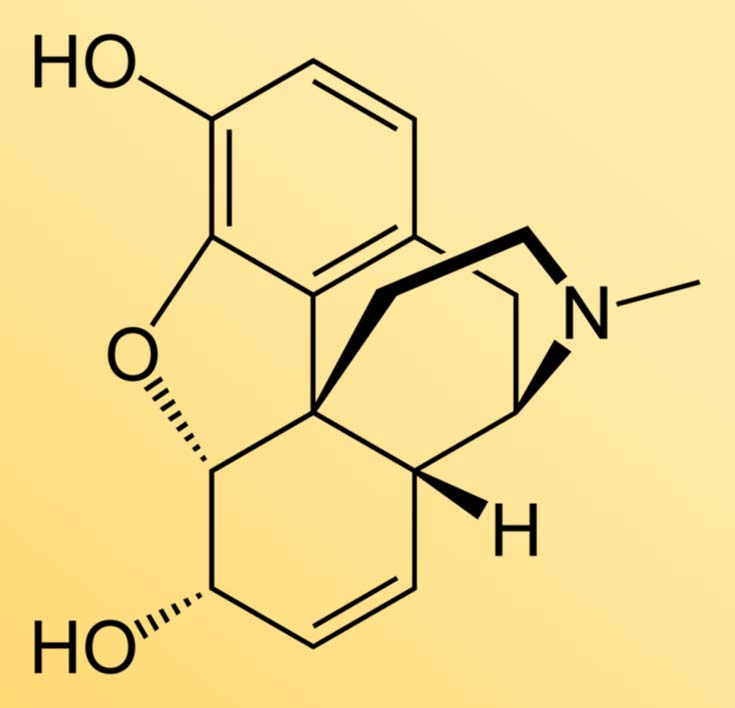 Rostlinné alkaloidy Morfin (morfium) (Morpheus, bohem snů) Alkaloid fenanthrenového typu, obsažen v opiu (z nezralých makovic máku setého) používá se v