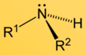 Organické sloučeniny dusíku: aminy Jsou organické sloučeniny, formálně odvozené od amoniaku náhradou alespoň jednoho z vodíků alkylem nebo arylem Nahrazení dvou vodíků: sekundární amin Nahrazení