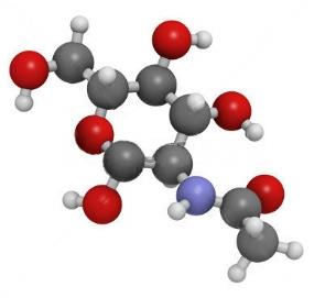 3.2. Glukosamin 3.2.1. Charakteristika a biochemie Glukosamin se jako hlavní aminosacharid nachází v mukopolysacharidech, mukoproteinech, glykoproteinech a v chitinu.