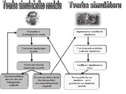 Obrázek 3: Guytonův model vyjadřoval zpětnovazebné propojení osmnácti subsystémů, ovlivňujících funkci cirkulačního systému, jako graficky zobracenou soustavu matematických vztahů.