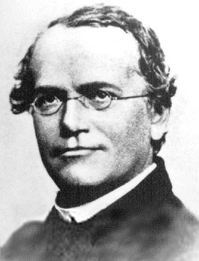 Mendelovy z{kony Johann Gregor Mendel (1822 1884) narodil se na Moravě u Nového Jičína působil v Brně opat augustiniánského kláštera, učitel pokusy s různými rostlinami (např.