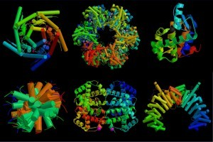bílkoviny (proteiny): - konformace proteinu - tvar, který protein zaujímá v prostoru proteiny - fibrilární - jejich polypeptidový řetězec je v postatě natažen v prostoru -