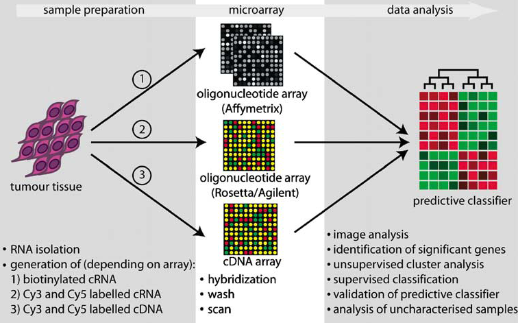 Microarrays (1) V současnosti jedna z nejrozšířenějších technologií pro