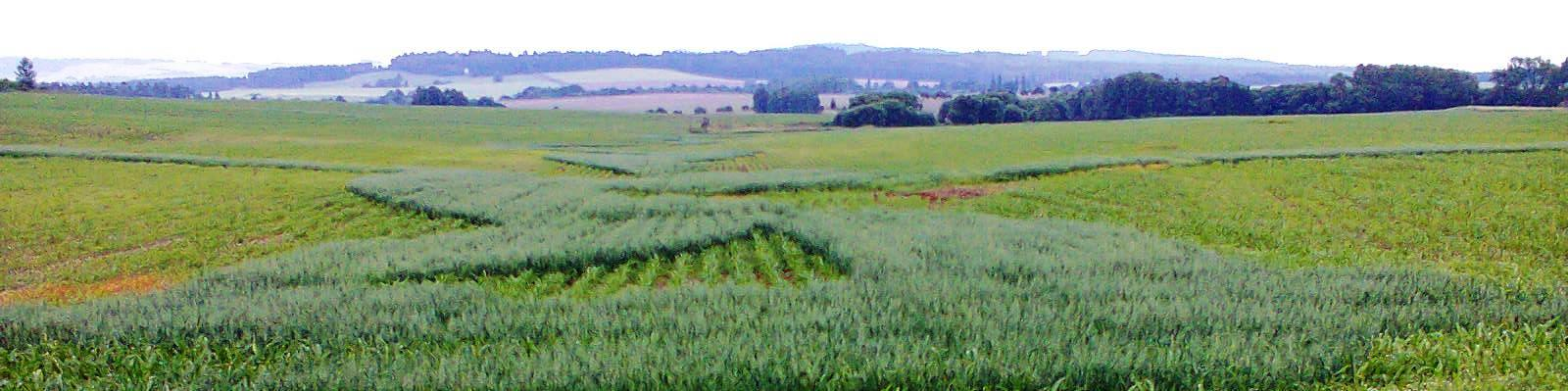 Dobrý zemědělský a environmentální stav DZES 5 (pokračování) Půda mírně erozně ohrožená (MEO): erozně nebezpečné